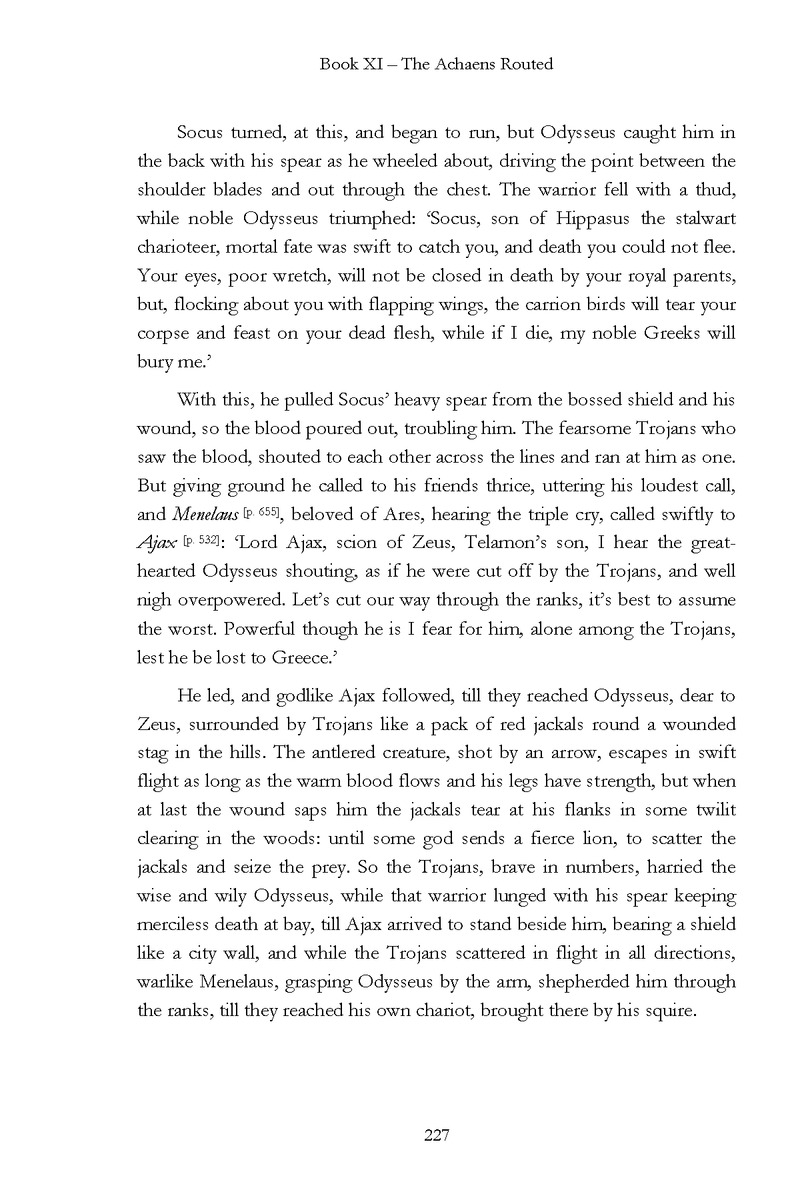 The Iliad - Page 221